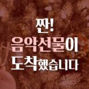 다인음악학원 이미지