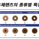 트랜디카안경원 이미지