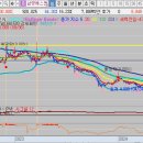 삼영바이오식품 이미지