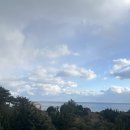 비지터 | 비지터 한 달 살기 후기╰(*°▽°*)╯