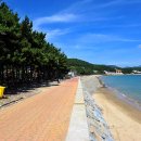 월포해수욕장 이미지