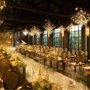 터틀하우스 이미지