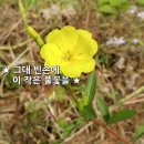 풀꽃 - 하동군 시장1길 8-5 | 풀꽃