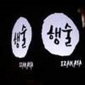 행술