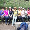 2026년 09월 05일 - Trumbo Hollow Trail (Jim and Molly Denton Shelter) 이미지