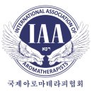 반려견 천연 아로마 테라피 이미지