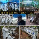 송정오토바이