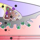 서울영재활의학과의원 이미지