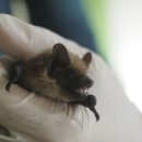 자연유래연구소 이미지