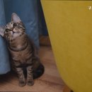 귀족동물병원 이미지