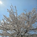 만웅곰탕 이미지