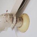 송학지안리즈아파트 이미지