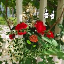대우건설정보 이미지