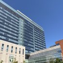 가톨릭시과학센터 | 가톨릭대학교 은평성모병원 / 문영규 교수님 종격동 종양 수술 후기