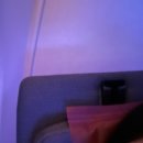 1303 | [🇪🇬이집트 여행] 인천에서 카이로 카타르항공 후기(QR859, QR1303), 도하공항 환승방법