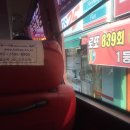 홍박공원 | 슈테판 도어 멋져요