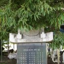 정선전씨 효부문 이미지