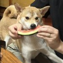 참쉼터