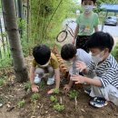세종마당 이미지