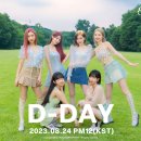 시크릿넘버 카카오 검색결과