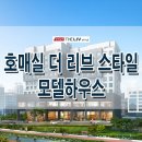 수원-0595 Daum카페