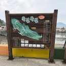 (주)대교통상 | 완성된 풍경, 미완의 여행