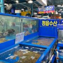 마포농수산물시장 입구 횡단보도(성산동665) | 인어교주해적단이 인정한 마포농수산물시장 정읍수산! 봄 제철 강도다리 모듬회 내돈내산 리얼후기