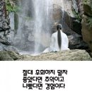 닥터한스
