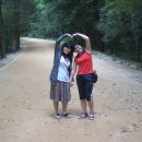 전나무목장 이미지