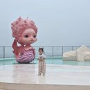 플레이스엑스 | 속초 아기랑 가볼만한곳 오감 만족 뮤지엄 엑스 생생 후기
