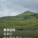 주)조이트래블여행사 | [후쿠오카 유후인 버스투어] 인디고트래블 유후인 투어 후기 내돈내산 (유후인 · 히타 · 다자이후 코스)