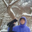 울프팩토리 | ACG 후리스 울프트리 POLARTEC FB8083-510 구매 후기