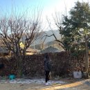 루아네 하우스 이미지