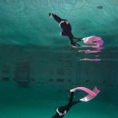 사직레포츠 | 부산 프리다이빙 체험 강습 후기