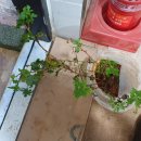 집이 좋다 이미지