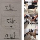 냥이멍이세상 이미지