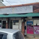 장기반점 이미지