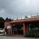 산방산흙돼지맛집 | 제주 Day1 산방산 근처 숙소 솔직 후기 <빌라 사계- The Cave>, 도민 찐 추천맛집 <돈어길>