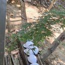 이유경한의원 이미지