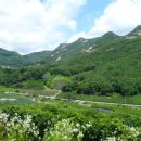 행복한민박 이미지