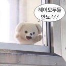 올가네일 - 수원시 권선구 호매실로104번길 24-70 | 울산두피관리 올가드림뷰티 화봉점, 울산두피관리잘하는곳에서 두피디톡스 솔직 후기
