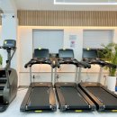 머슬 타임 이미지