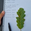 정보도서관 뒤 화장실 | 헝가리 페치대학교 교환학생 기숙사, 도서관, 자연 인문대 소개 | 수업 정보 | 버스티켓, Kik 정보