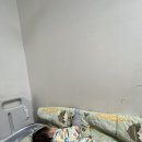 구구소아청소년과의원 네이버블로그