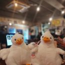 캐치팡 인계점 이미지