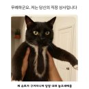 유정지 | 오바쌈바 6월 ;:!₩&amp;-!🌀🤔