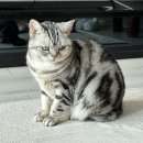 커피맛을 조금아는남자 이미지