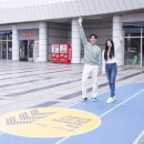 슈스파스타필드고양