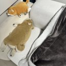 시흥시민햇빛 2호 발전소 | 2월 일기·ᴗ· (4)