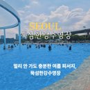 뚝섬한강수영장 후기 한강공원 주차장 준비물 총정리